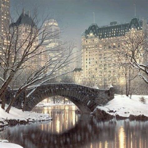 Christmas in Central Park | New York, dream city | Pinterest