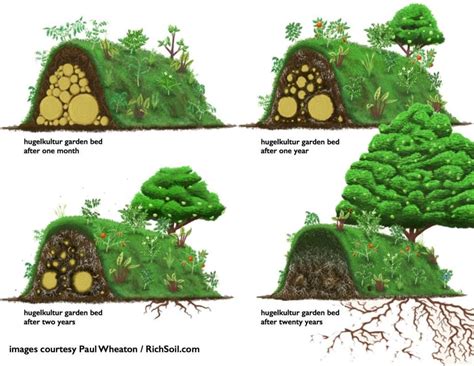 Crisis garden layout: the three-step permaculture design method ...