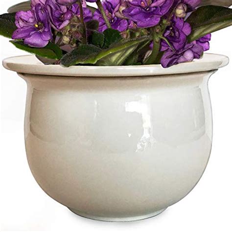 Best Self Watering Pots For African Violets