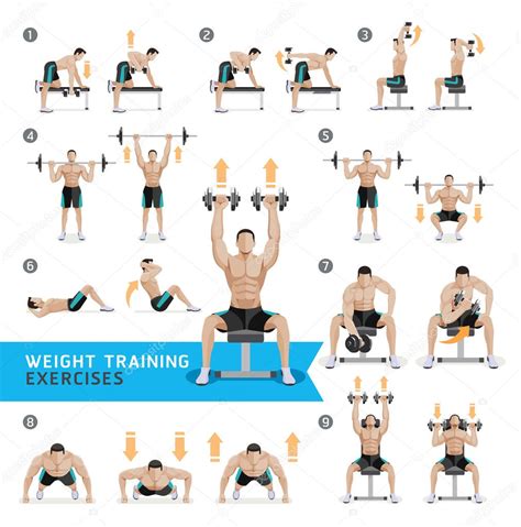 Pllustration: dumbbell workouts | Dumbbell Exercises and Workouts Weight Training. — Stock ...