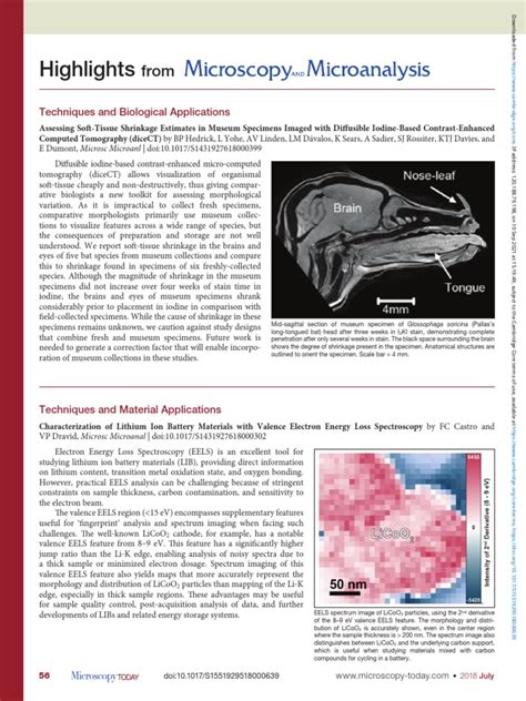 Highlights: Techniques and Biological Applications | PDF | Microscopy ...