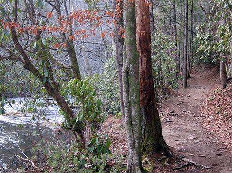 Abrams Falls Trail leads to Great Smoky Mountains HikingSmoky Mountains ...