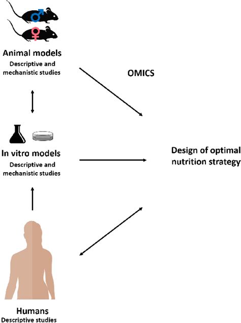 Figure 1 from Importance of Nutrients and Nutrient Metabolism on Human ...