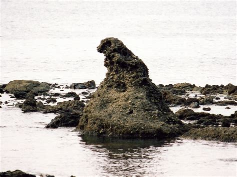 File:Godzilla-iwa.JPG - Wikimedia Commons