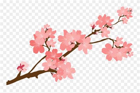 Download Cherry Blossom Clipart At Getdrawings - Transparent Cherry Blossom Vector - Png ...