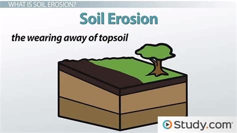 Rill Erosion Definition Earth Science - The Earth Images Revimage.Org