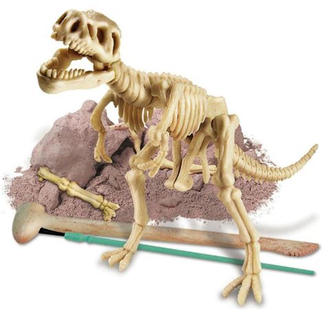 Top Dinosaur Skeleton Toy for Mini Paleontologists Who Dig Dinosaurs