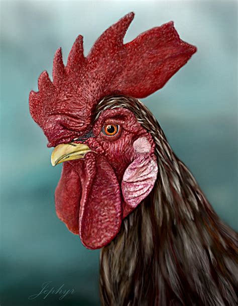 Little Red Rooster Digital Art by Jephyr Art