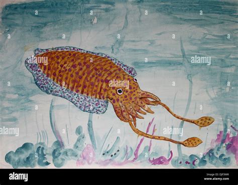 Illustration of a squid Stock Photo - Alamy