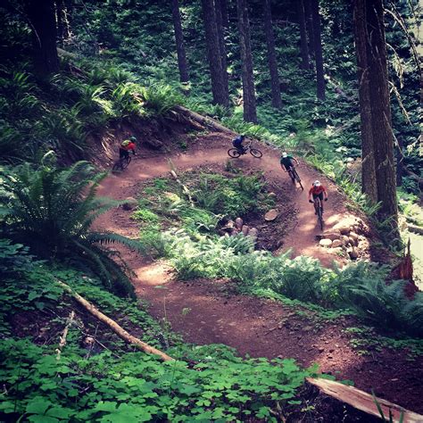 Oregon Adventures clients mountain biking Dead Mountain in Oakridge ...