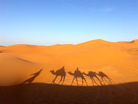 Free photo: Sahara, Sand, Nature, Desert, Dry - Free Image on Pixabay ...