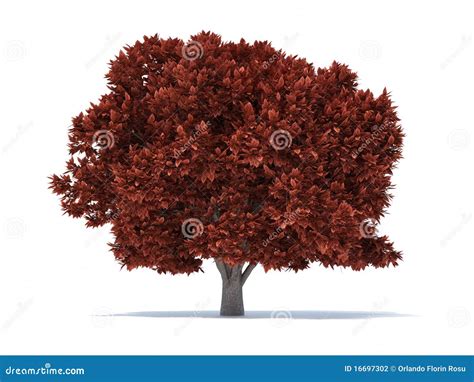 Tree rust stock illustration. Illustration of autumn - 16697302