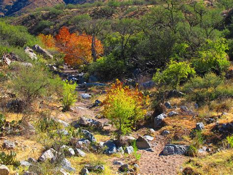 Road Trip America: Drive Thru Santa Rita Mountains, Arizona