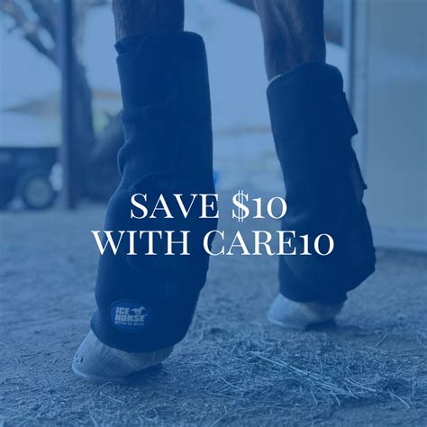 The Benefits of Using Ice Boots for Horses — CAROLINE ARENDT