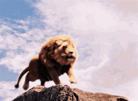 Lion Roaring Gifs Get The Best Gif On Giphy - vrogue.co