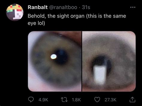 Ranboo eye reveal