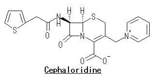 Cephaloridine - Alchetron, The Free Social Encyclopedia