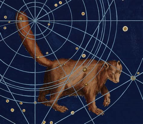 Ursa Minor Constellation Myths and Facts | Under the Night Sky