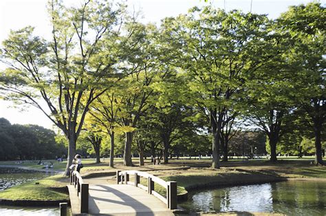 YOYOGI PARK | KoKoRoGraphy