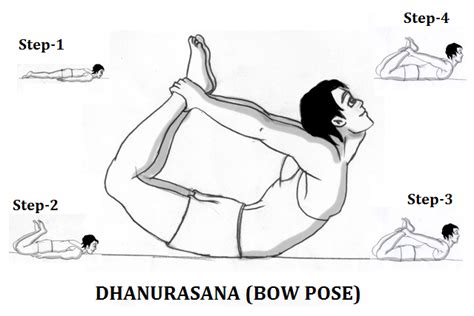 dhanurasana |Bow Pose| Steps, Benefits, Precautions.