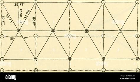 What is quincunx system - kjawings