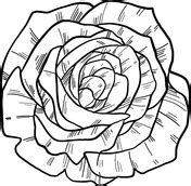 rose coloring pages flowers - Imposing Logbook Lightbox