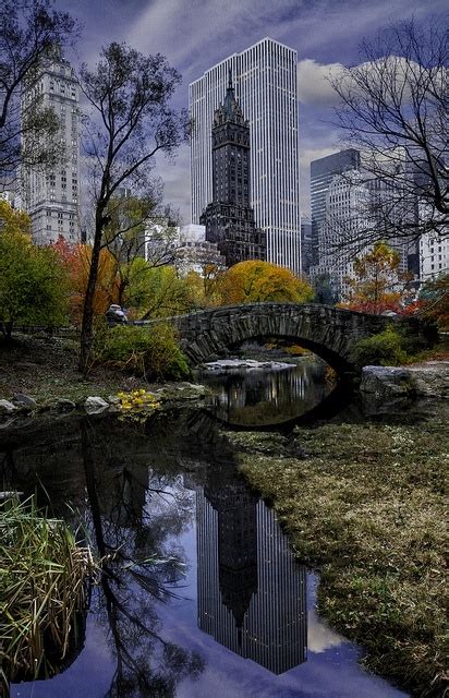 Central Park View Pictures, Photos, and Images for Facebook, Tumblr, Pinterest, and Twitter