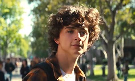 Timothée Chalamet Plays A Tortured Meth Addict In The First Trailer For ...