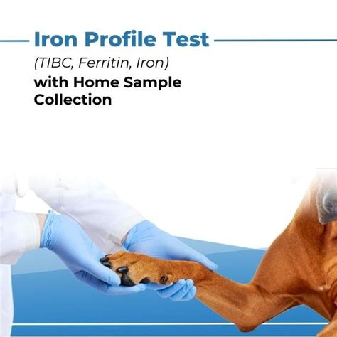 Iron Profile (TIBC, Ferritin, Iron) Test - Monkoodog