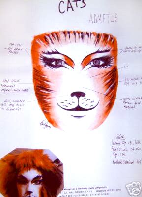 Cats Musical Makeup Instructions | Saubhaya Makeup