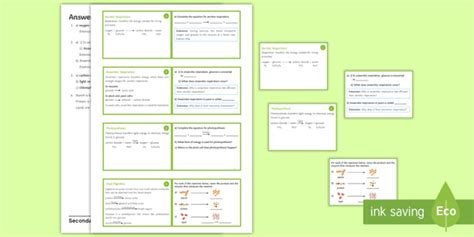 Biology Equation Revision Flashcards (teacher made)