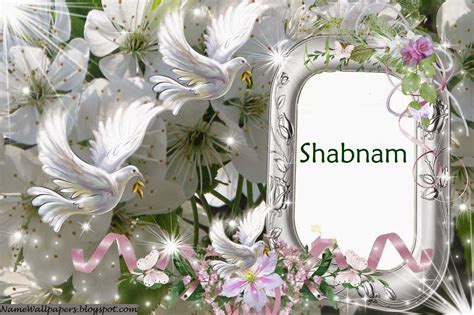 Shabnam Name Wallpapers Shabnam ~ Name Wallpaper Urdu Name Meaning Name ...