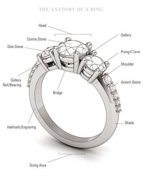 Anatomy of a Ring - Moores Jewellers