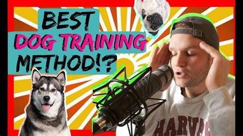 What is the best dog training method? No Bad Dogs Podcast with America's Canine Educator - YouTube