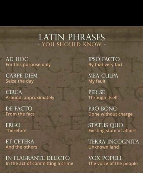 14 Common Latin Phrases That Everyone Should Know | Daily Infographic