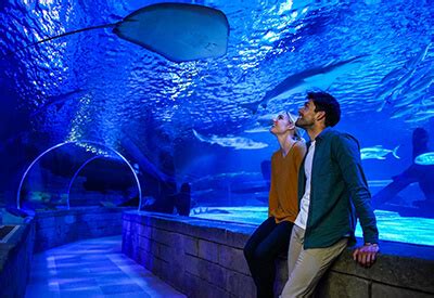 Wonders of Wildlife National Museum Aquarium Coupons-Travelin' Coupon