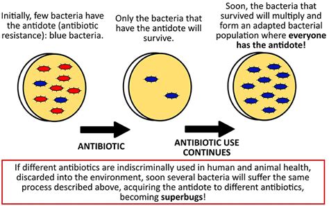 Superbugs Among Us: Who They Are and What Can You Do to Help Win the ...