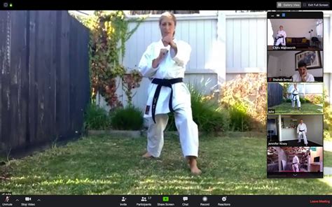 Online Karate Training