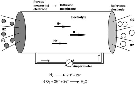 Electrochemical sensor working | Download Scientific Diagram