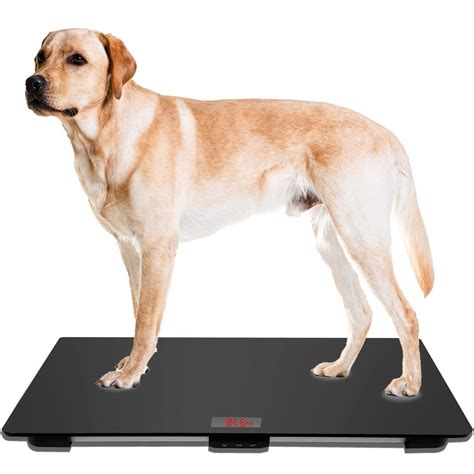 MINDPET-MED Pet Scale for Large Dog, Veterinary Scale with Non-Slip Mat, Platform Scale, Weight ...