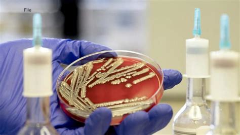 E. coli outbreak cases rise