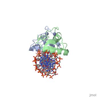 Glucocorticoid receptor - Proteopedia, life in 3D