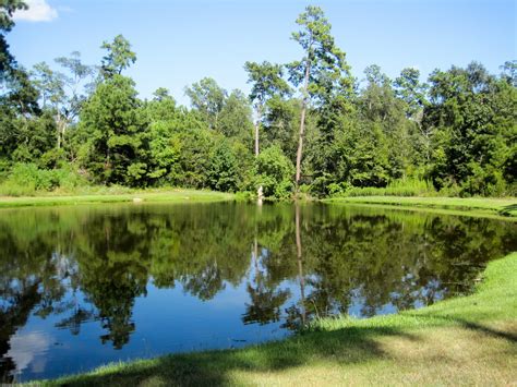 The Woodlands Texas Parks: Alden Bridge Park