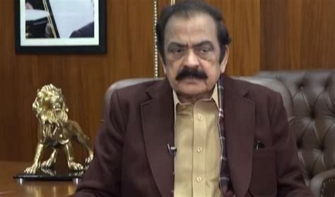 PML-N will clinch over 100 seats from Punjab, says Rana Sanaullah