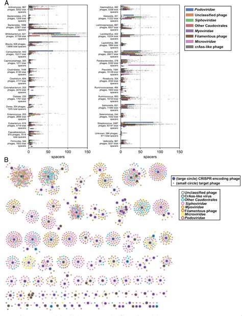 Figure 2 from A catalog of tens of thousands of viruses from human metagenomes reveals hidden ...