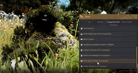 Black Desert BDO Fairy Guide - mmosumo