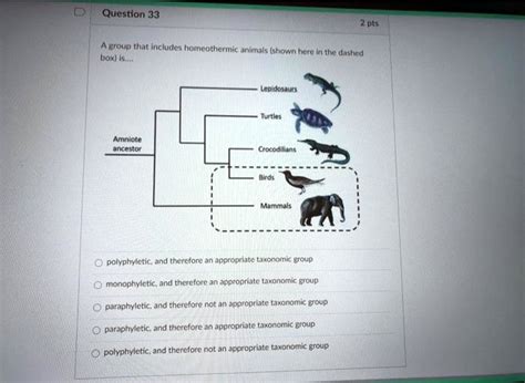 Group that includes homeothermic reptiles (shown here below ...