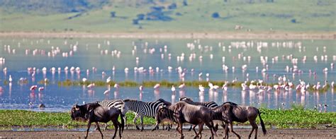 Ngorongoro Crater - The Luxury Safari Company