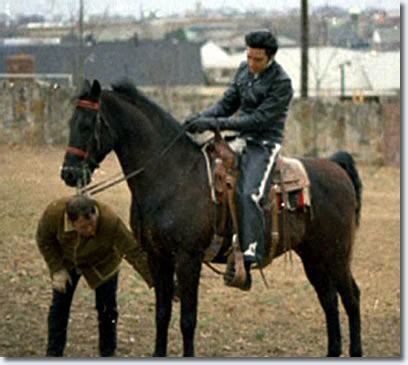 Elvis Presley : Rising Sun and other Horses at Graceland | Elvis Articles