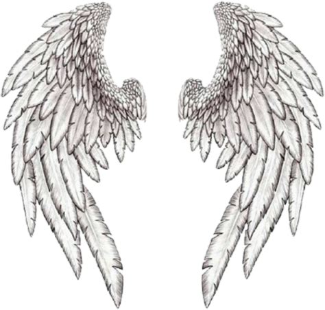 Angel Wings Png Angel Wings Drawing Angel Wings Tattoo Wings Art | My ...